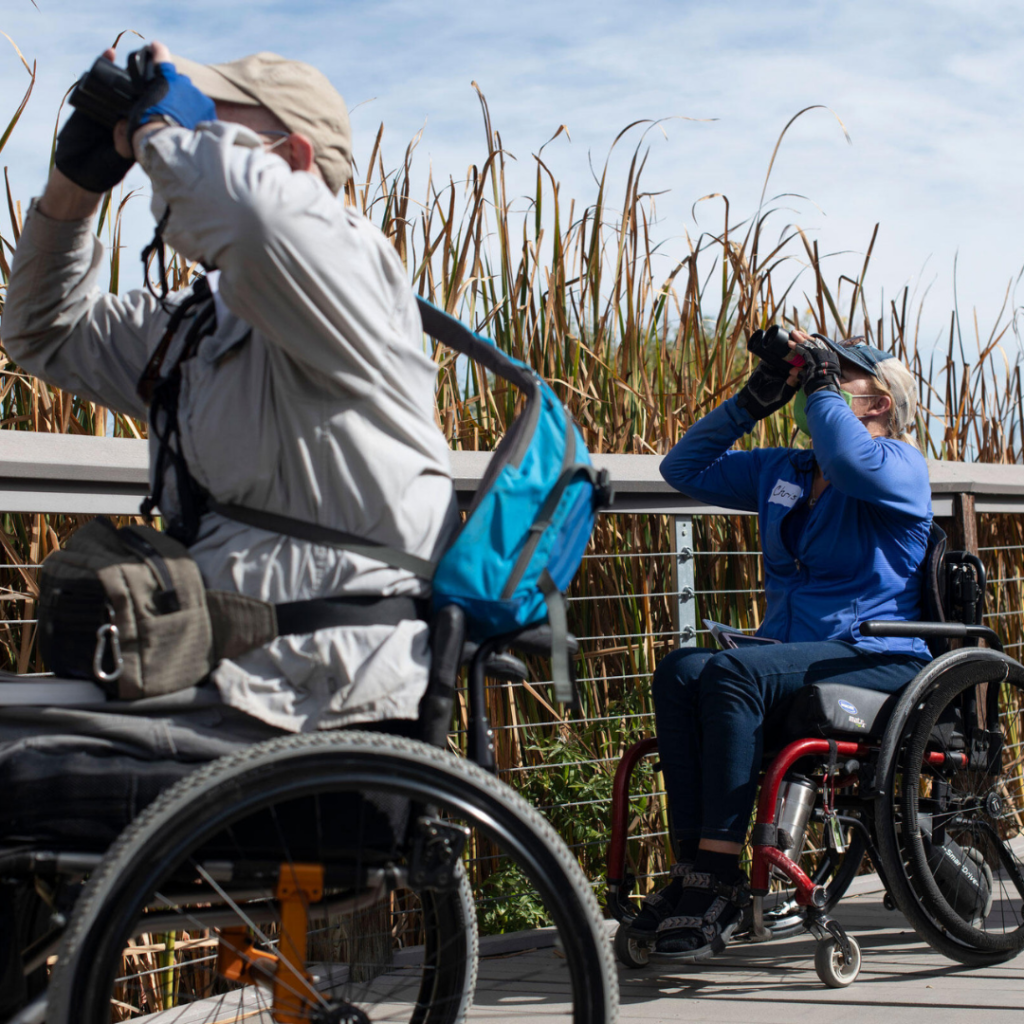 A white man and woman, both in wheelchairs parked on a bridge, look up through binoculars searching for a bird.